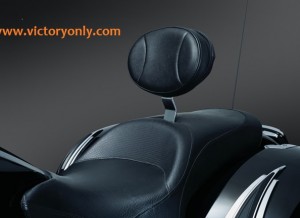 Plug-N-Go Driver Backrest with Storage Pouch