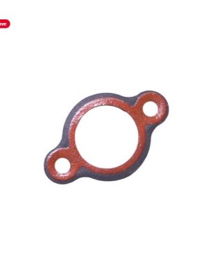 REPLACES POLARIS 5830225 CHAIN TENSIONER GASKET Item is new not in original packaging. Item only comes with what is in the photos. Some photos may be stock. Please be sure that this item fits before purchase.