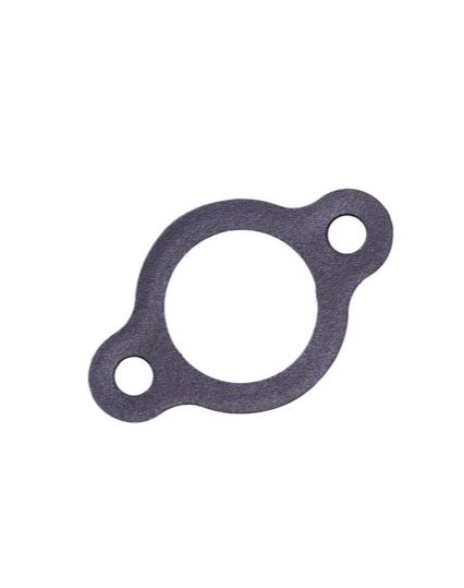 REPLACES POLARIS 5830225 CHAIN TENSIONER GASKET Item is new not in original packaging. Item only comes with what is in the photos. Some photos may be stock. Please be sure that this item fits before purchase.